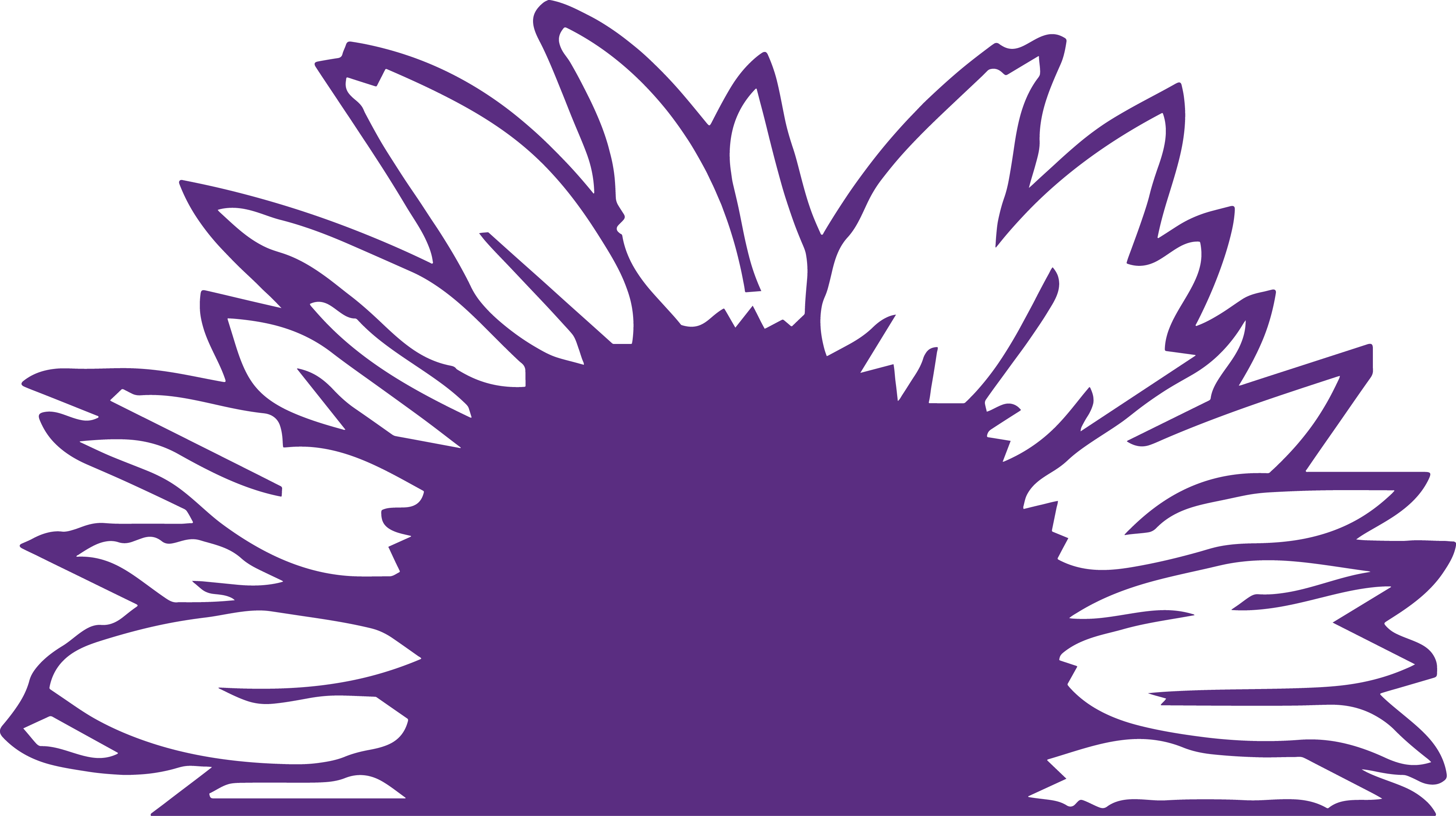 sunflower_purple